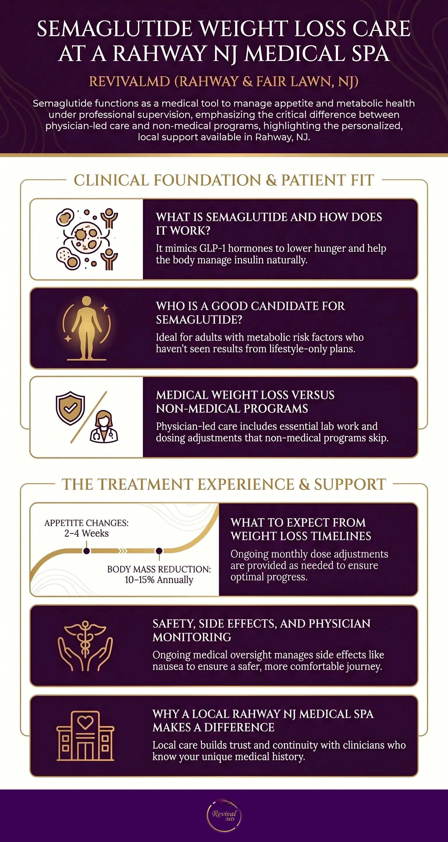 Semaglutide Treatment Journey at a Glance infographic